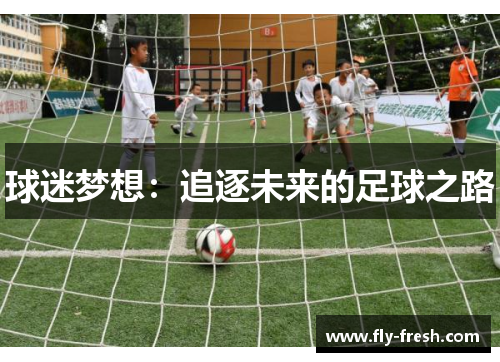 球迷梦想：追逐未来的足球之路
